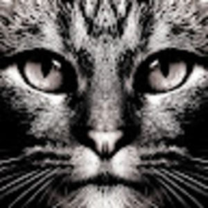 Meet your Posher, Rachael